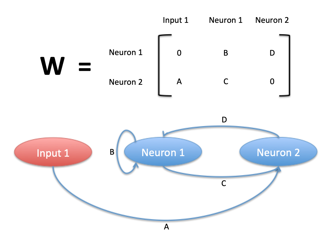 _images/complex_network.png
